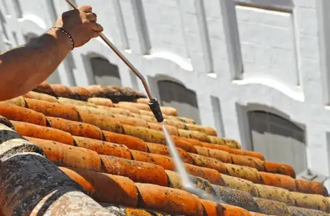 Nettoyage de toitures - Roubaix